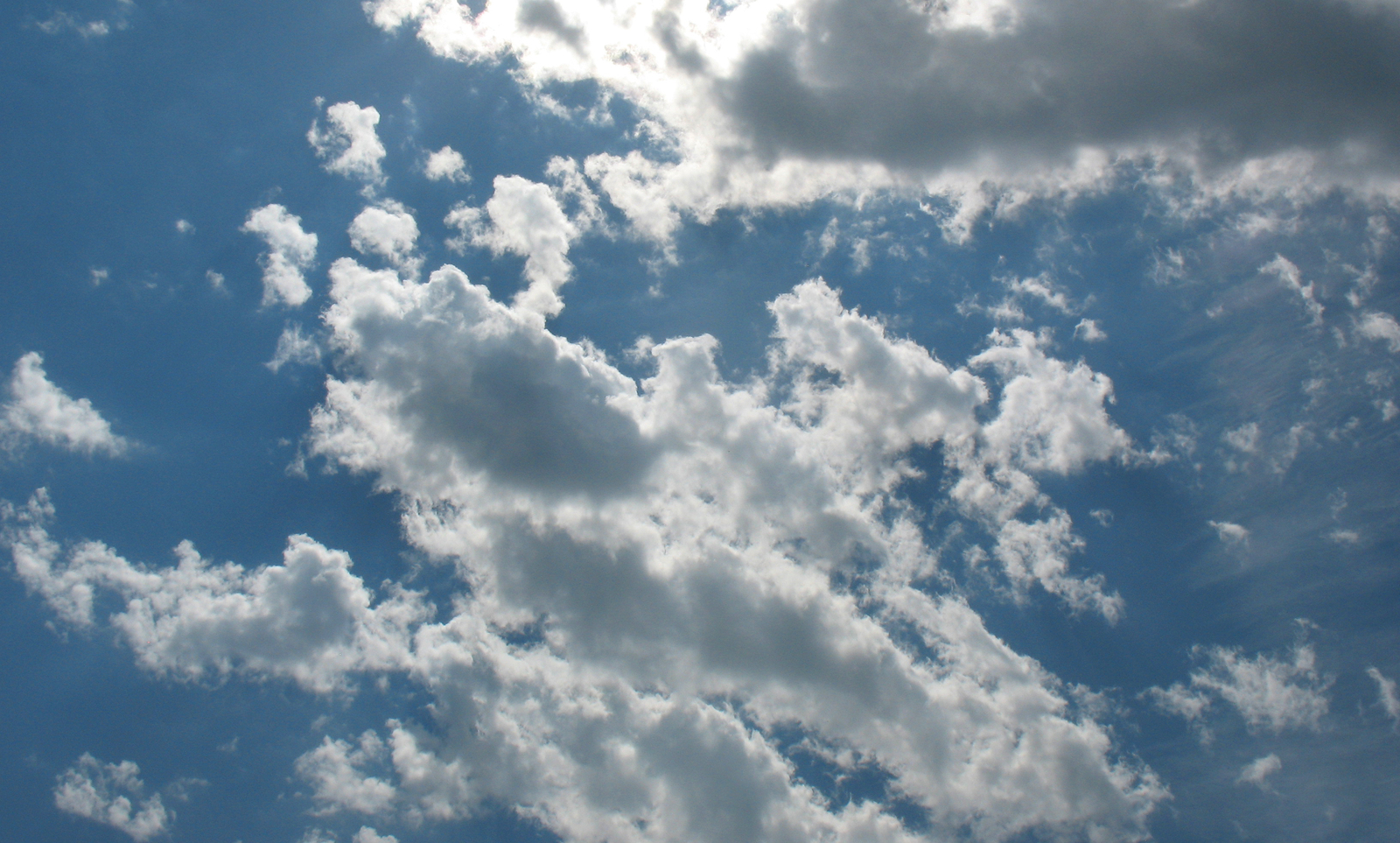 Championnat par équipes journée 7