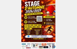 Stages de perfectionnement - Salle Bestel - Pendant les vacances d'Automne