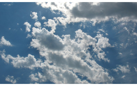 Championnat par équipes journée 7