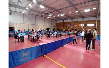 PONGISTES EN HERBE tour 2 TAGNON - résultats